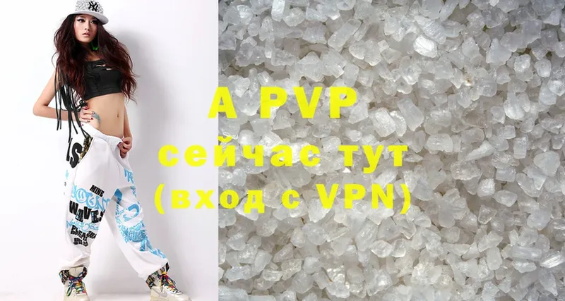 A PVP СК  Черкесск 